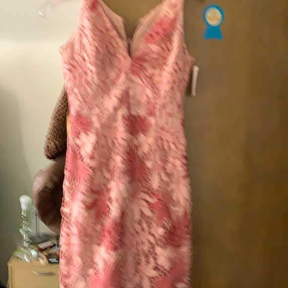 Pink embroidered lace overlay dress - Picture 1 of 2